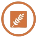 gluten gluten